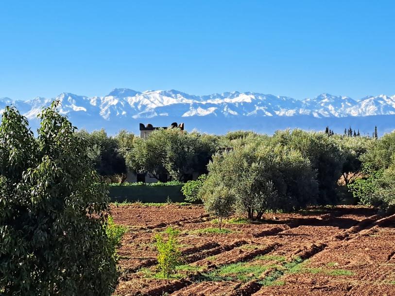Luxury Villa with Stunning Atlas Views โ Marrakech-13