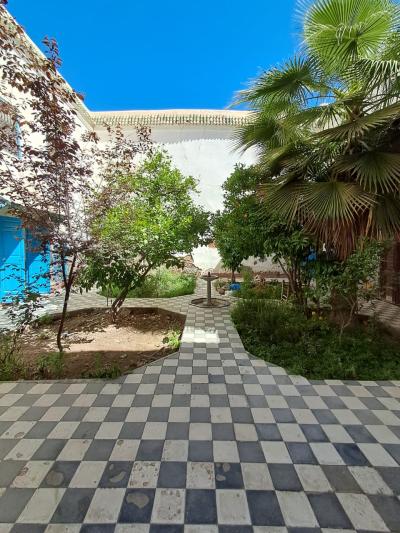 Ideal Foundation for a New Real Estate Project