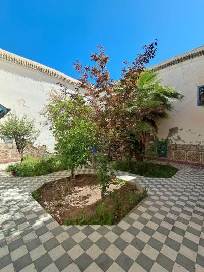 Ideal Foundation for a New Real Estate Project