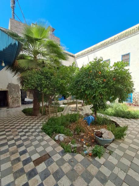 Ideal Foundation for a New Real Estate Project-5