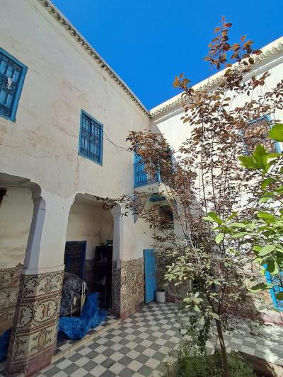 Ideal Foundation for a New Real Estate Project