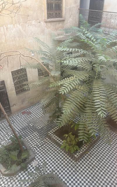 Authentic Riad to Renovate in the Medina of Marrakech