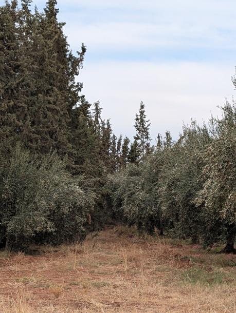 Land for Sale – Route de Fès, Km 38-1