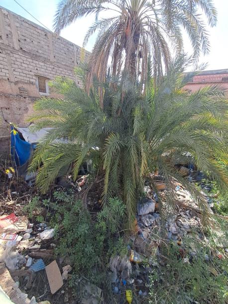 Titled Land for Sale – Zaouia Abbassia, Marrakech Medina-1